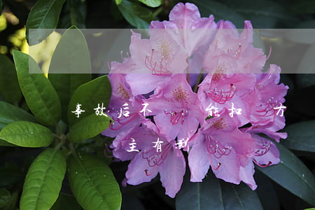 事故后不賠償能扣對方車嗎(交通事故沒賠償對車主有影響嗎)