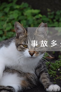 事故多少錢私了(私了一般賠多少錢)