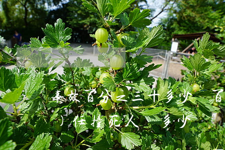 事故百分之三十多少錢(百分之30責(zé)任撞死人賠多少錢)