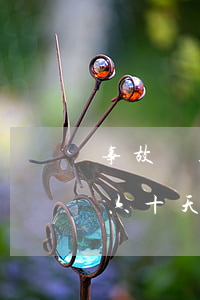 事故終止60日怎么算(事故中止時間后需要六十天)