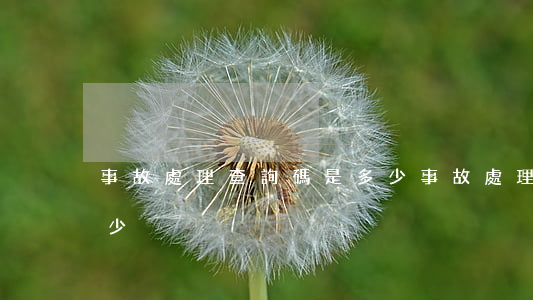 事故處理查詢碼是多少(事故處理查詢碼是多少)