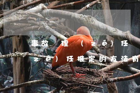 事故處理責(zé)任劃分和交通事故責(zé)任推定的方法有哪些