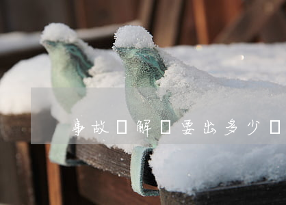 事故諒解書要出多少錢