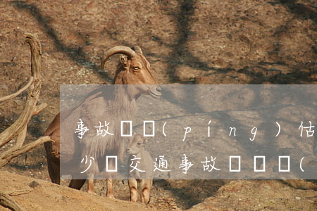事故車評(píng)估費(fèi)用多少錢(交通事故車輛評(píng)估收費(fèi)標(biāo)準(zhǔn))