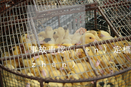 事故車認(rèn)定標(biāo)準(zhǔn)