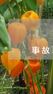 事故車認定標準