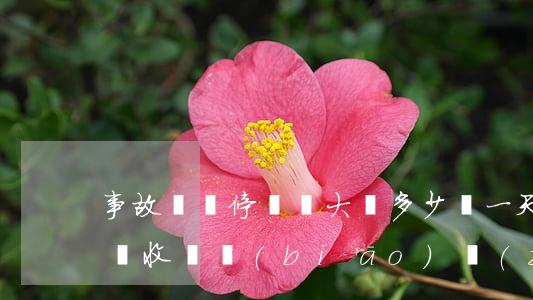 事故車輛停車費大約多少錢一天(事故車停車場收費標(biāo)準(zhǔn)是多少錢一天)