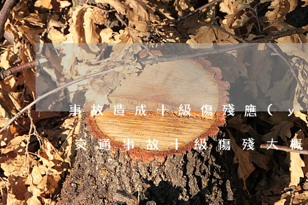 事故造成十級傷殘應(yīng)賠償多少(交通事故十級傷殘大概賠償多少)