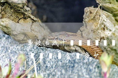事故造成十級傷殘應賠償多少(交通肇事十級傷殘賠償金額多少)