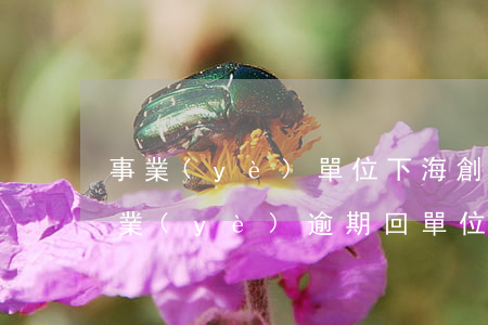 事業(yè)單位下海創(chuàng)業(yè)逾期回單位上班-事業(yè)單位下海創(chuàng)業(yè)逾期回單位上班有影響嗎