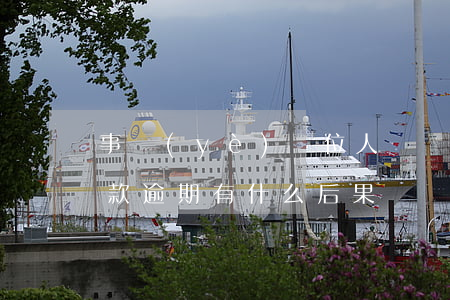 事業(yè)單位人員貸款逾期(公職人員貸款逾期有什么后果)