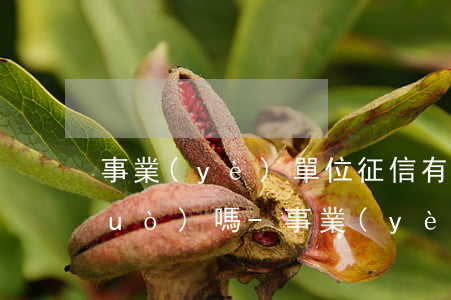 事業(yè)單位征信有逾期政審能過(guò)嗎-事業(yè)單位征信有逾期政審能過(guò)嗎知乎