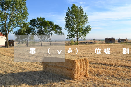 事業(yè)單位提撥副科需要政審嗎