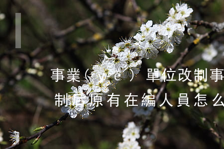 事業(yè)單位改制(事業(yè)單位改制后原有在編人員怎么辦)