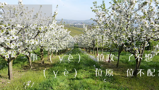事業(yè)單位政審了不想簽合同(考上事業(yè)單位 原單位不配合政審怎么辦)