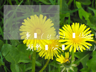 事業(yè)單位政審貸款逾期(銀行房貸逾期影響公務(wù)員政審嗎)