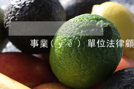 事業(yè)單位法律顧問費入什么科目
