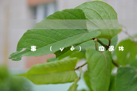 事業(yè)單位退休