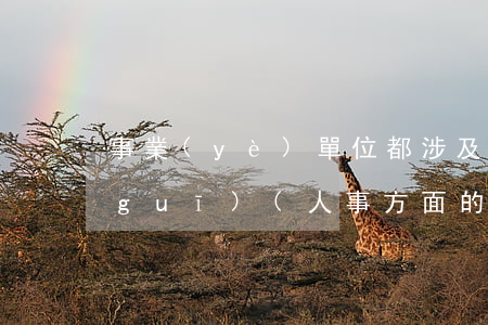 事業(yè)單位都涉及到哪些法律法規(guī)(人事方面的法律法規(guī))