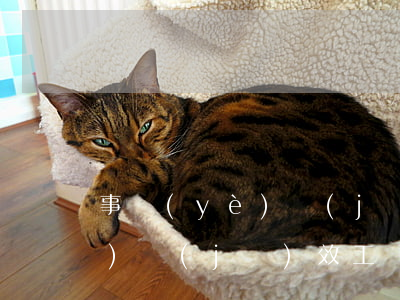 事業(yè)績(jī)效工資(事業(yè)績(jī)效工資取消)