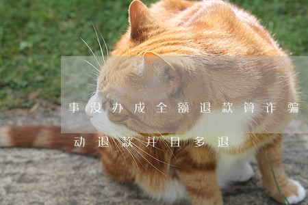 事没办成全额退款算诈骗吗(诈骗未立案前主动退款,并且多退)