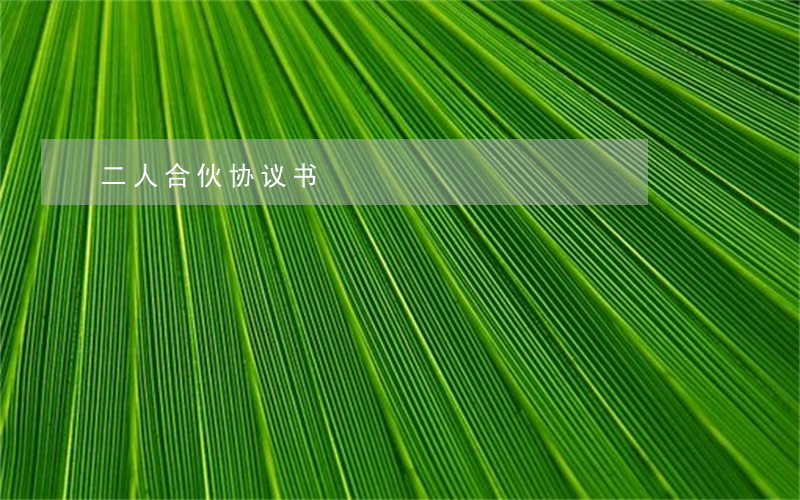 二人合伙协议书