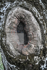 二人都在異地能辦理離婚手續(xù)嗎(兩人都在外地可以辦理離婚手續(xù)嗎)