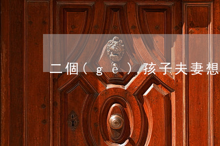 二個(gè)孩子夫妻想離婚怎么辦