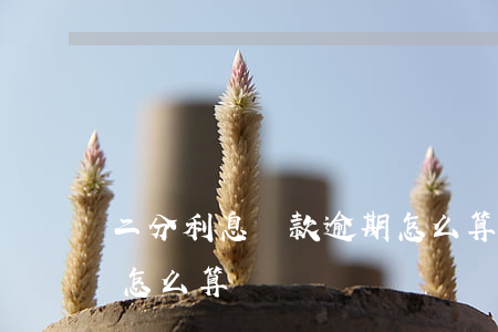 二分利息貸款逾期怎么算(二分利息貸款逾期怎么算)