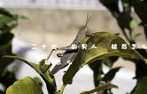 二十七歲的男人離婚后怎么辦(小孩十八歲了,離婚怎么辦)