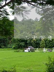 二十万借呗还款后会影响借呗吗-二十万借呗还款后会影响借呗吗知乎