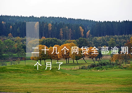 二十几个网贷全部逾期(五六个网贷逾期快一个月了)