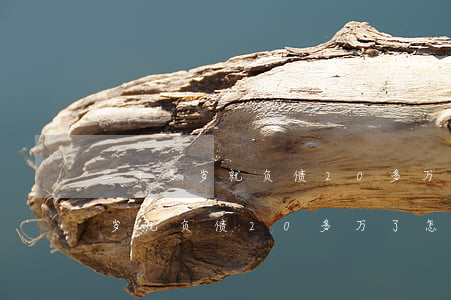 二十多岁就负债20多万了怎么办-二十多岁就负债20多万了怎么办呢