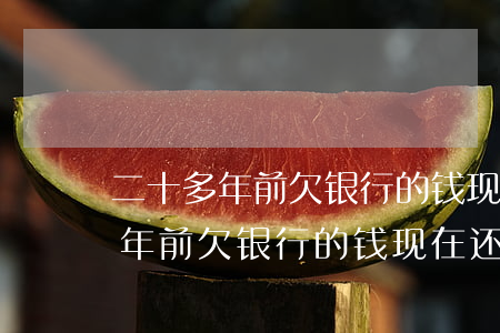 二十多年前欠银行的钱现在还追究-二十多年前欠银行的钱现在还追究吗
