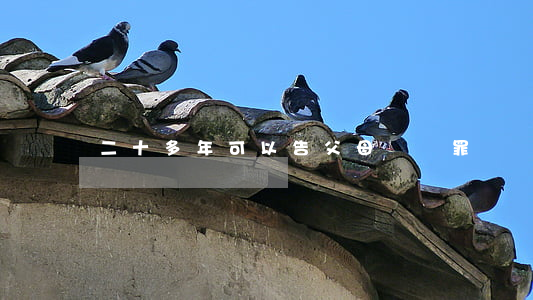 二十多年可以告父母遺棄罪嗎
