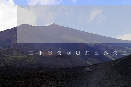 二十岁欠网贷怎么办(欠二十万网贷怎么办)