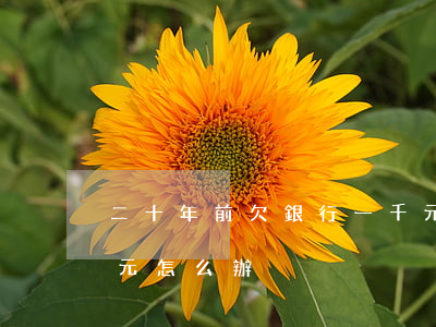 二十年前欠銀行一千元(二十年前欠銀行一千元怎么辦)