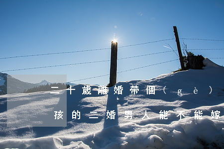 二十歲離婚帶個(gè)男孩還能嫁嗎(帶男孩的二婚男人能不能嫁)