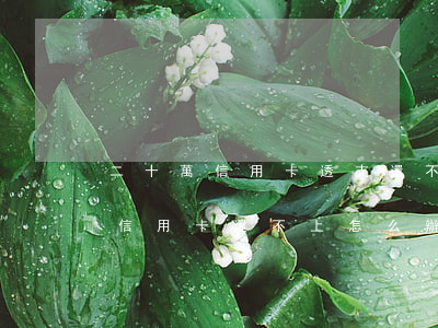 二十萬信用卡透支還不上怎么處理-20萬信用卡還不上怎么辦