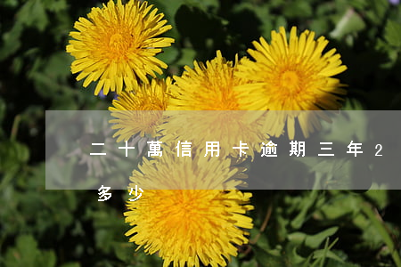 二十萬信用卡逾期三年 20萬逾期3年要還多少