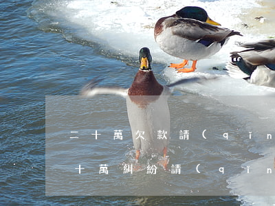 二十萬欠款請(qǐng)律師需要多少錢(十萬糾紛請(qǐng)律師要多少錢)