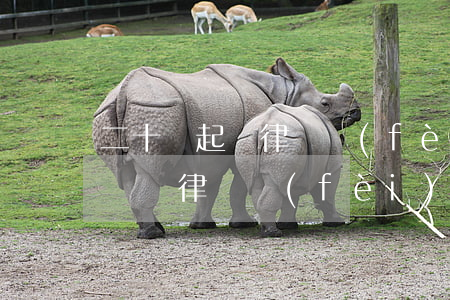 二十萬起訴律師費(fèi)多少(20萬的糾紛律師費(fèi)要給多少)