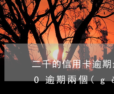 二千的信用卡逾期最多還多少(信用卡5000逾期兩個(gè)月還多少)