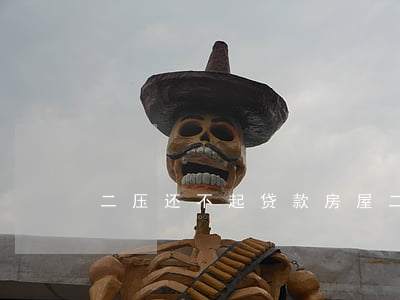 二压还不起贷款(房屋二压还不上怎么办)