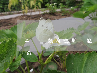二壓貸款有逾期還能辦嗎(房貸逾期二個月怎么辦)