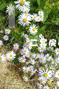 二套房政策 賣房再購算首套