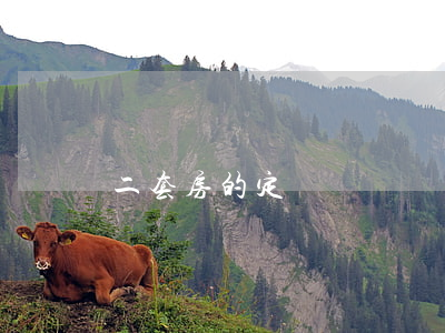 二套房的定義