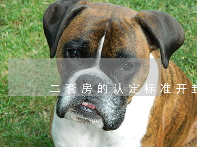 二套房的认定标准(开封二套房的认定标准)