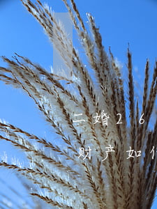 二婚26年离婚能分到财产吗(二婚两年离婚财产如何分割)