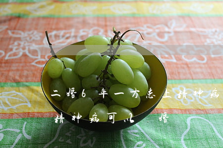 二婚6年一方患上精神病能離婚嗎(另一半有精神病可以離婚嗎)